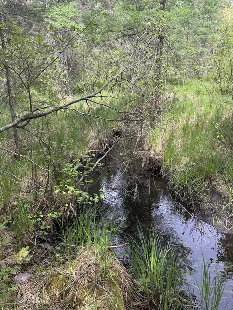 View/Area - 1197 N Mcmasters Bridge Rd, Grayling, MI 49738 photo 1 of 1
