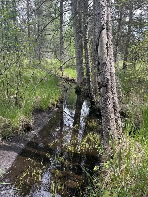 Other - 1197 N Mcmasters Bridge Rd, Grayling, MI 49738 photo 9 of 10