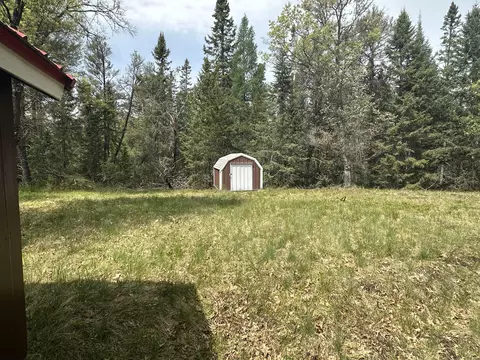 Exterior - 1197 N Mcmasters Bridge Rd, Grayling, MI 49738 photo 8 of 17