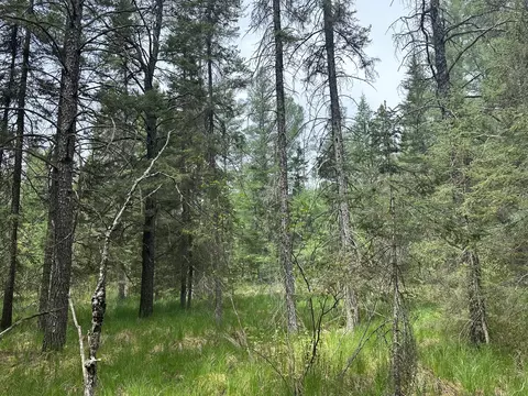 Other - 1197 N Mcmasters Bridge Rd, Grayling, MI 49738 photo 7 of 10