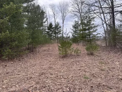 lot Apt 26 Mt Maria, Hubbard Lake, MI 49747