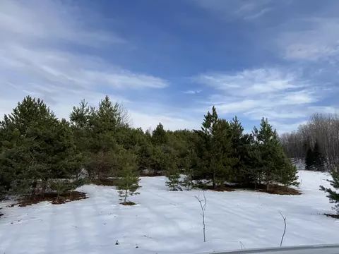 Rondo Road, Wolverine, MI 49799