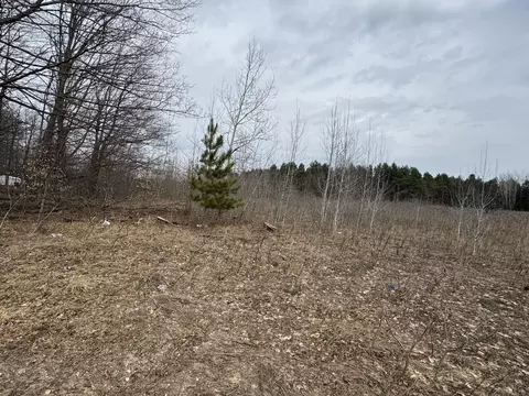 Nnn W Houghton Lake Road, Lake City, MI 49651