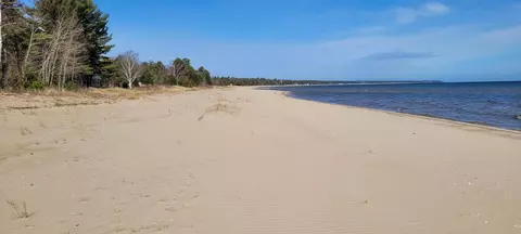 View/Area - 14711 Hemlock Ln, Ocqueoc, MI 49759 photo 16 of 17