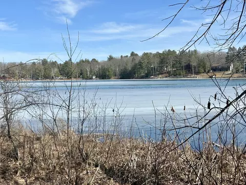 Long Lake Road, Hillman, MI 49746