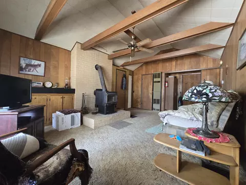 Living - 201 Nolan St, Mio, MI 48647 photo 2 of 2
