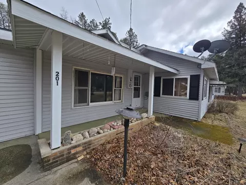 Exterior - 201 Nolan St, Mio, MI 48647 photo 13 of 24