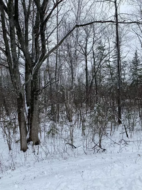 Highland Pines Road, Presque Isle, MI 49777