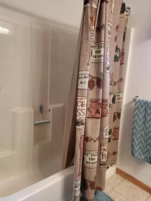 Bath - 1337 Eagle Point Rd, Grayling, MI 49738 photo 10 of 10