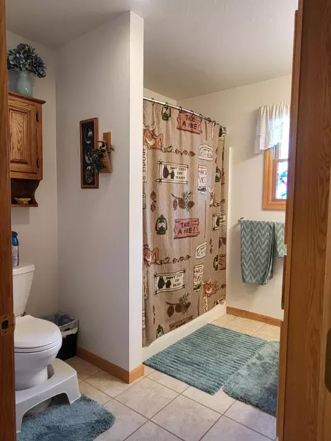 Bath - 1337 Eagle Point Rd, Grayling, MI 49738 photo 7 of 10