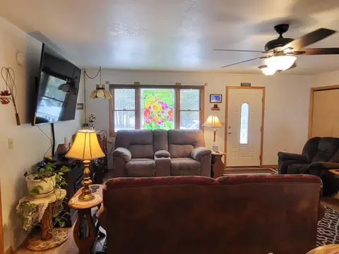 Living - 1337 Eagle Point Rd, Grayling, MI 49738 photo 4 of 5
