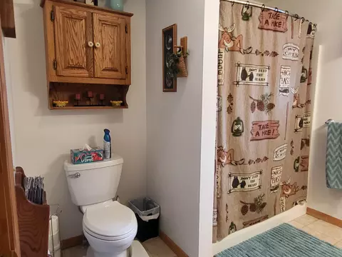 Bath - 1337 Eagle Point Rd, Grayling, MI 49738 photo 8 of 10