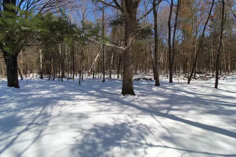 2189 Viking Way Grayling Mi 49738 Way, Grayling, MI 49738 photo 5