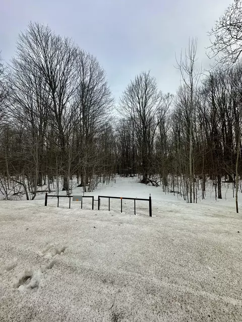 10694 NE Co Rd 612 Ne Kalkaska Mi 49646, Kalkaska, MI 49646