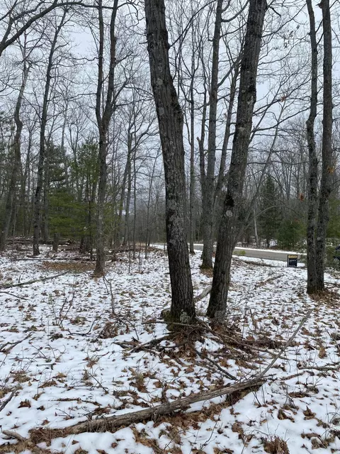 lot28 Robin Hood Drive Lot 29 Hubbard Lake Mi 49747 Dr #LOT 29, Hubbard Lake, MI 49747