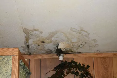 222 N E St, Cheboygan, MI 49721 photo 28