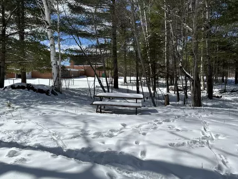 31990 W Michigan Ave, Trout Lake, MI 49793