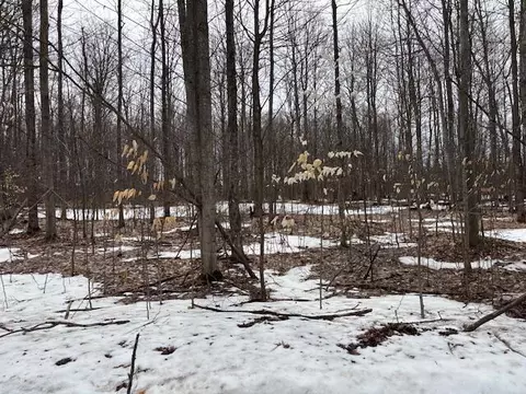 0 Coyote Trail 246 Frederic Mi 49733 Trl #2.46, Frederic, MI 49733