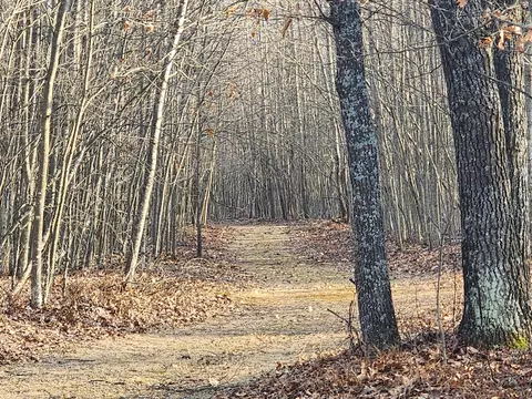 00 E Kirche In The Woods Drive 10 Acres Spruce Mi 48762 Dr #10 ACRES, Spruce, MI 48762