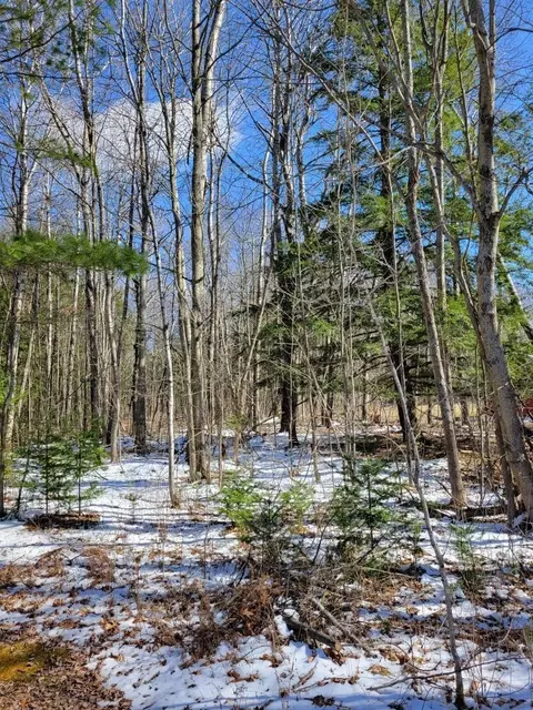 lot12 S Wildwood Trail Glennie Mi 48737 Trl, Glennie, MI 48737