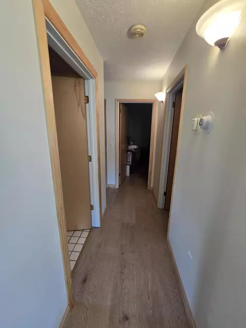 Entry Way - 1905 N Mt Tom Road Mio Mi 48647 Rd, Mio, MI 48647 photo 2 of 12