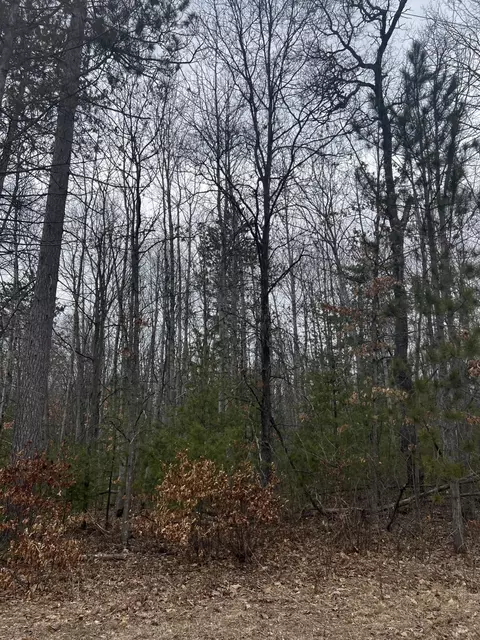 n st helen road LOT 163, Roscommon, MI 48653