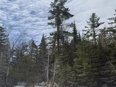 0 Huron Trail Lot 50 Cheboygan Mi 49721 Trl #LOT 50, Cheboygan, MI 49721