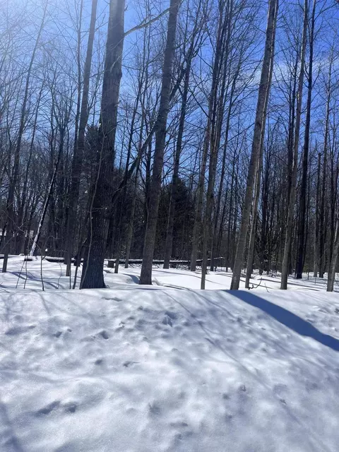 lot66 Montrose Drive Mancelona Mi 49659 Dr, Mancelona, MI 49659