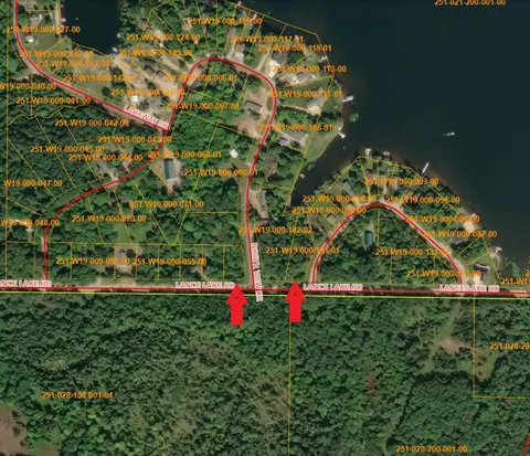 101 58 Lance Lake Rd, Wolverine, MI 49799 photo 9