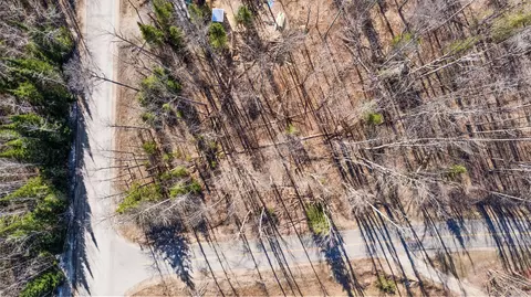 101 58 Lance Lake Rd, Wolverine, MI 49799 photo 13