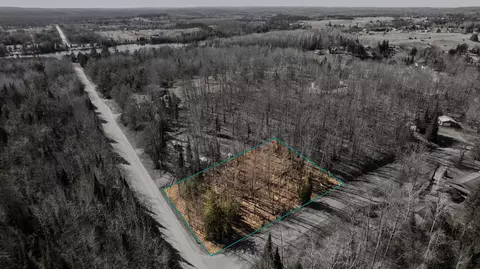 101 58 Lance Lake Rd, Wolverine, MI 49799 photo 7