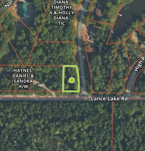 101 58 Lance Lake Rd, Wolverine, MI 49799 photo 11