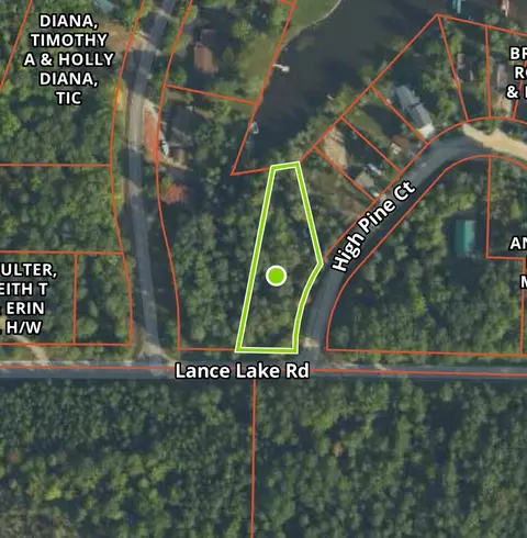101 58 Lance Lake Rd, Wolverine, MI 49799 photo 10