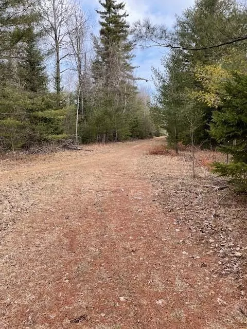 Parcel B Abby Lane, Ossineke, MI 49766