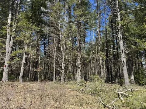 Four Sturgis Road #12.9 ACRES, Atlanta, MI 49709