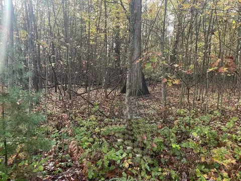 lot35 36 Hidden Hls, Houghton Lake, MI 48629