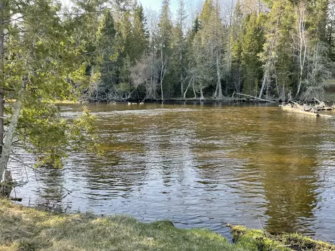 View/Area - 815 907 Backcast Trl, Grayling, MI 49738 photo 2 of 6