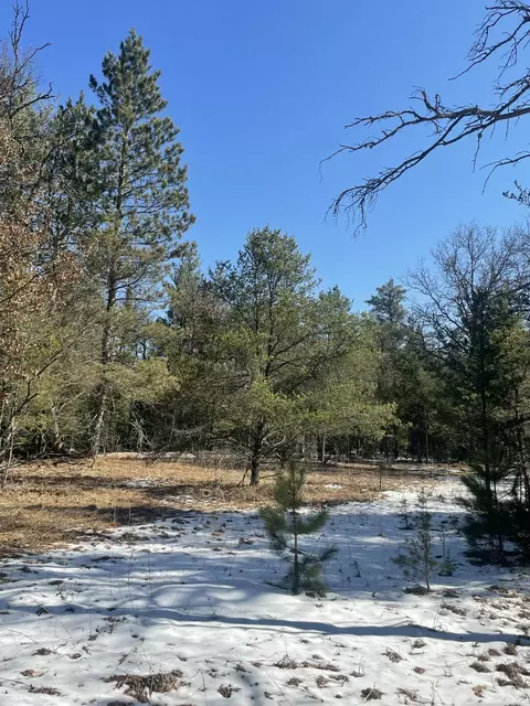 Other - 815 907 Backcast Trl, Grayling, MI 49738 photo 13 of 16