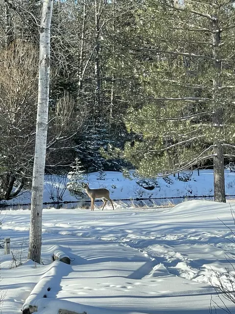 Other - 815 907 Backcast Trl, Grayling, MI 49738 photo 16 of 16