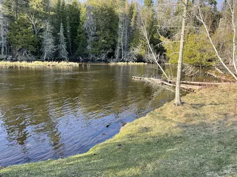 View/Area - 815 907 Backcast Trl, Grayling, MI 49738 photo 3 of 6