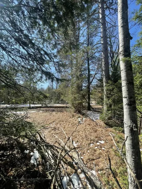 Exterior - 815 907 Backcast Trl, Grayling, MI 49738 photo 7 of 9