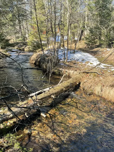 Other - 815 907 Backcast Trl, Grayling, MI 49738 photo 9 of 16