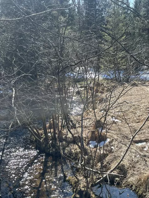 View/Area - 815 907 Backcast Trl, Grayling, MI 49738 photo 5 of 6