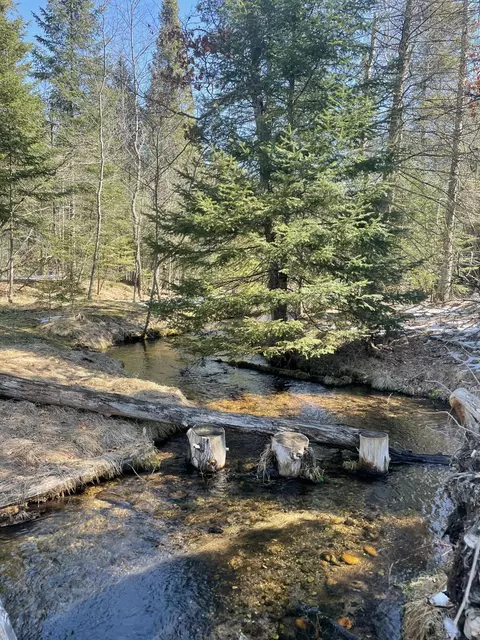 View/Area - 815 907 Backcast Trl, Grayling, MI 49738 photo 6 of 6