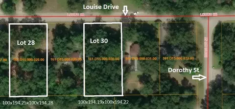 6835 Louise Drive Lot 28 Indian River Mi 49749 Dr #LOT 28, Indian River, MI 49749