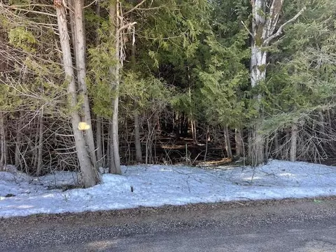 Beckon Road, Pellston, MI 49769 photo 9