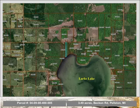 Beckon Road, Pellston, MI 49769 photo 5