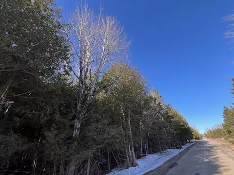 Beckon Road, Pellston, MI 49769 photo 8