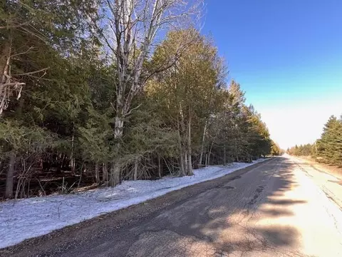 Beckon Road, Pellston, MI 49769 photo 10