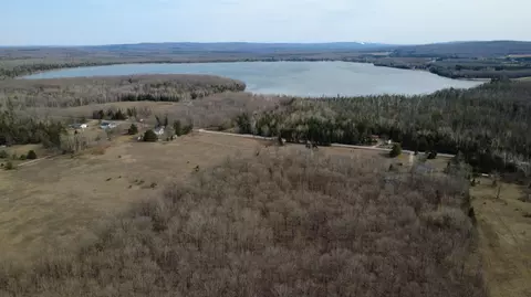 Beckon Road, Pellston, MI 49769 photo 7